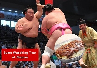 Nagoya Sumo Watching Tour