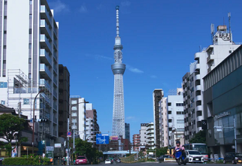 Amazing Tokyo 1-Day Tour