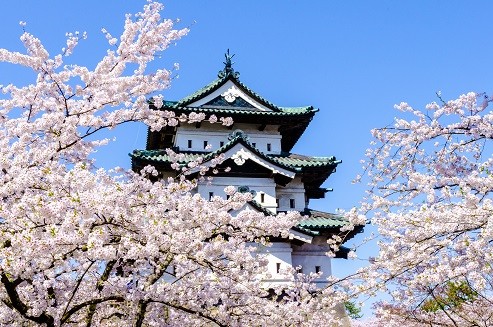 2022 Small Group 9 Day Cherry Blossom of Northern Japan