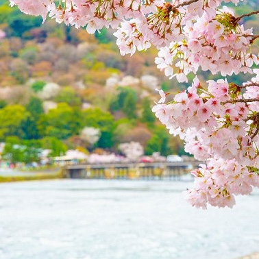 Kyoto (B, L, D)