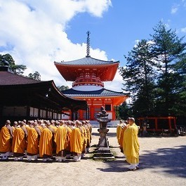Osaka - Mt. Koya (B,D)