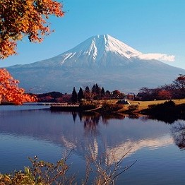 Tokyo - Mt, Fuji - Hakone