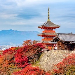Kyoto (One way Trip)  / Kyoto - Tokyo  (Return Trip)