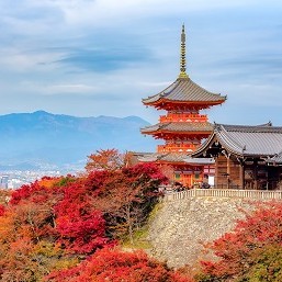 Kyoto (One way Trip) / Kyoto - Tokyo (Return Trip)