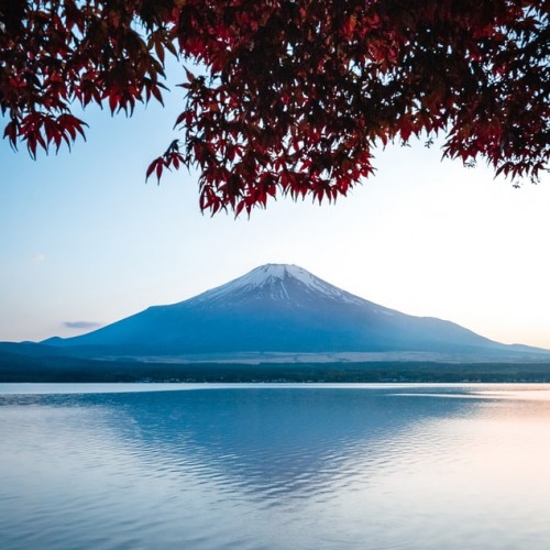 Tokyo {{{bus_icon}}} Mt.Fuji {{{bus_icon}}} Hakone