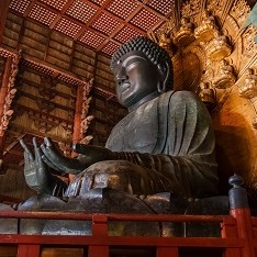 Kyoto {{{bus_icon}}} Nara {{{bus_icon}}} Kyoto