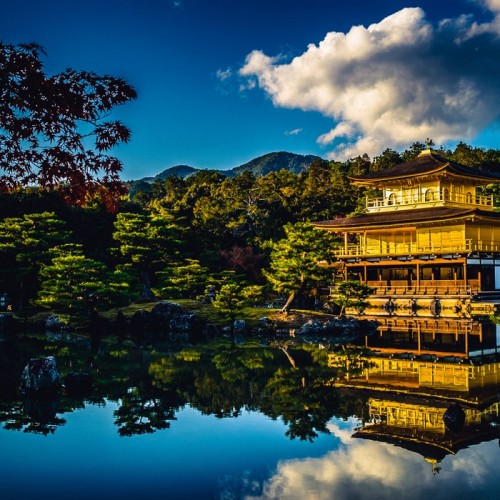 Kyoto (One way Trip) {{{bus_icon}}} / Kyoto {{{train_icon}}} Tokyo (Return Trip)