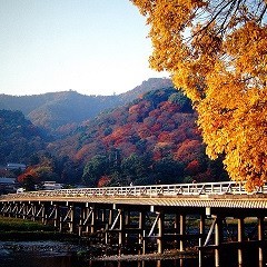 Kyoto (B)