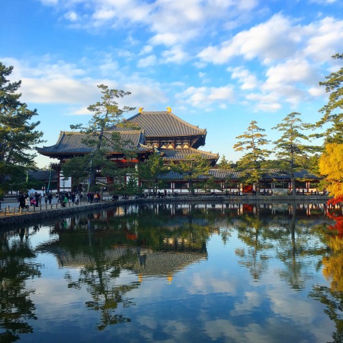 Kyoto - Nara - Kyoto
