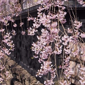 Morioka - Kakunodate - Morioka (B, L)