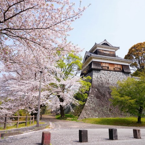 Fukuoka ? Kumamoto