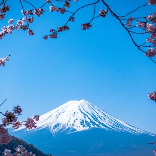 Tokyo - Lake Kawaguchi - Matsumoto