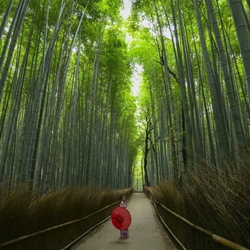 Kanazawa - Kyoto