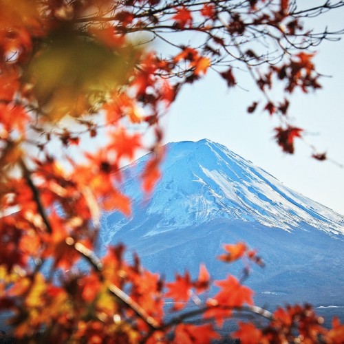 Tokyo - Mt.Fuji - Hakone