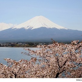 Tokyo {{{bus_icon}}} Lake Kawaguchi {{{bus_icon}}} Matsumoto