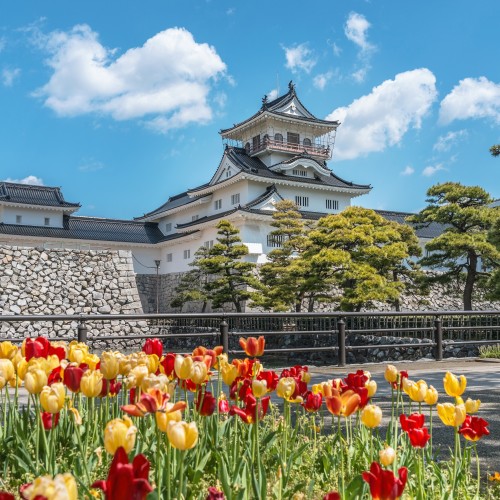 Toyama (B,L)