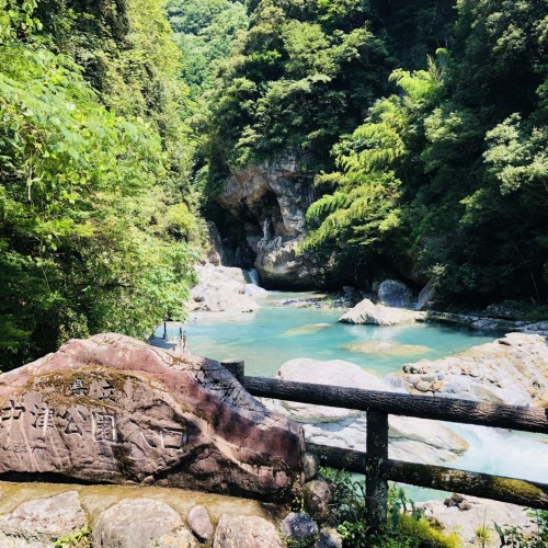 Kochi{{{bus_icon}}}Nakatsu Gorge{{{bus_icon}}}Ino Town{{{bus_icon}}}Kochi
