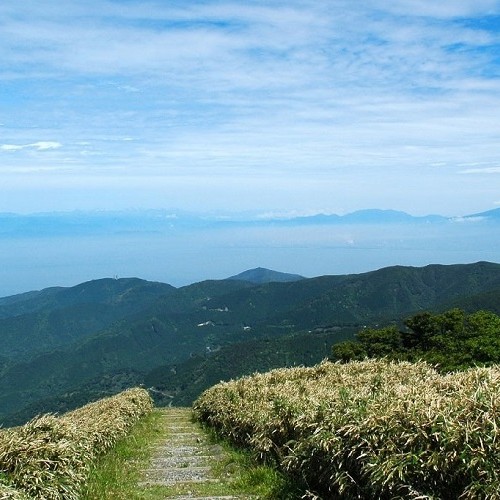 Hakone ? Amagi ? Dogashima