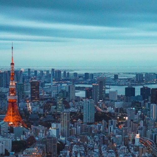 Haneda / Narita Airport {{{bus_icon}}} Tokyo