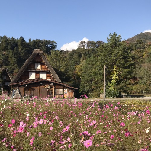 Takayama - Shirakawago - Toyama