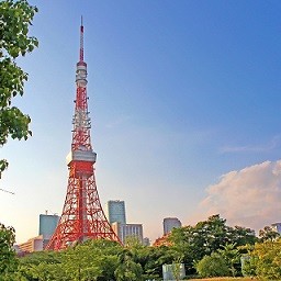 Tokyo {{{bus_icon}}}