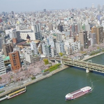 Tokyo (B, L, D)