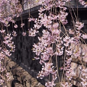Morioka - Kakunodate - Morioka